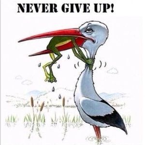 Meet your Posher, Thomas